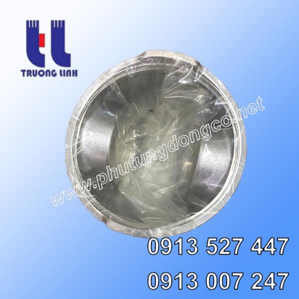 Piston động cơ Nissan NE6TA, 12011-95114