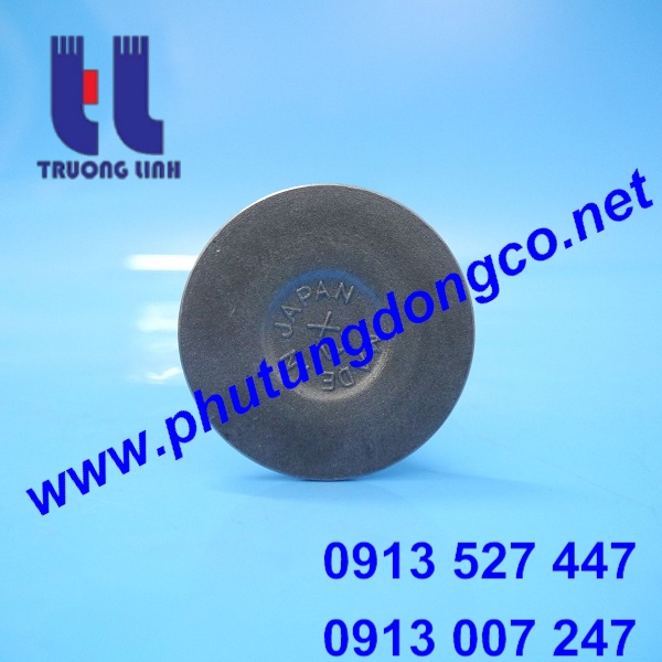 XUPAP XẢ ĐỘNG CƠ NISSAN PE6