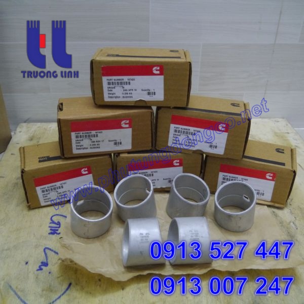 187420, Bạc chốt piston động cơ Cummins NTA855, NH220