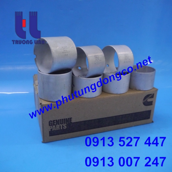BẠC ẮC PISTON CUMMINS NTA855