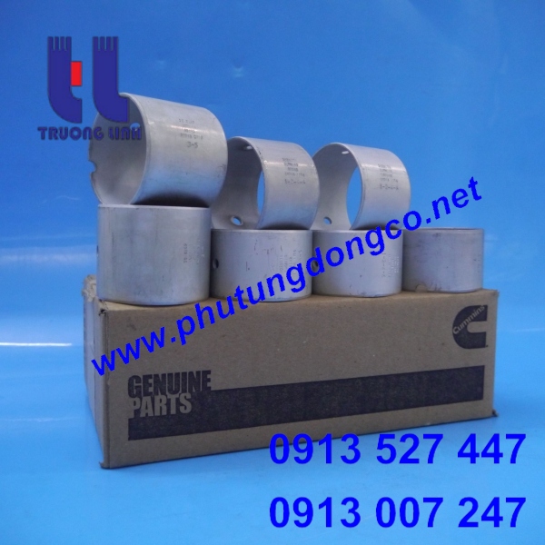 BẠC ẮC PISTON CUMMINS NTA855