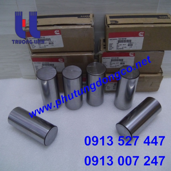 ẮC PISTON CUMMINS NTA855