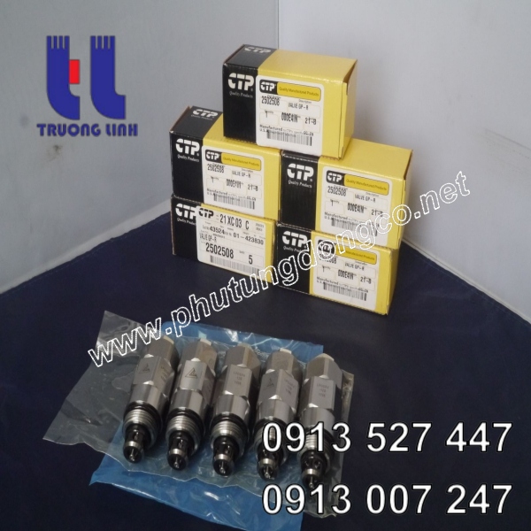 Valve group relief caterpillar 2502508
