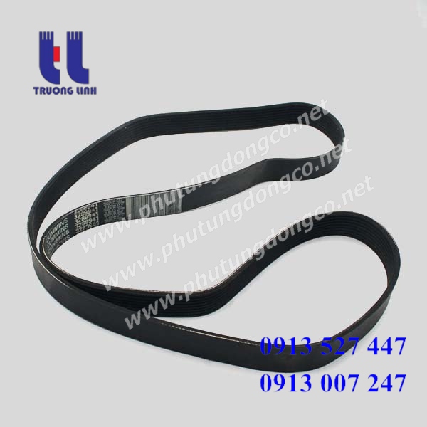 dây đai động cwo cummins