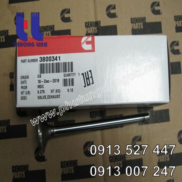 Xupap xả động cơ Cummins QSC8.3 3800341
