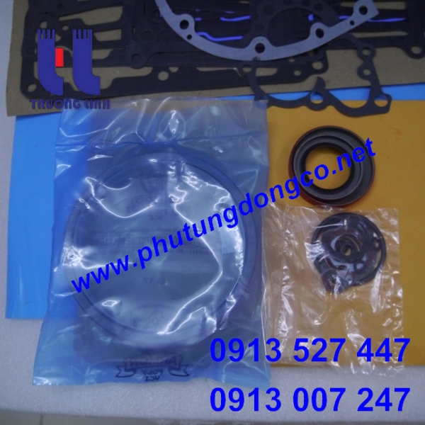 GIOĂNG ĐẠI TU NỮA DƯỚI CUMMINS NTA855
