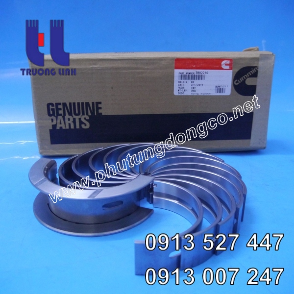 Bạc trục khuỷu động cơ Cummins 6c8.3 3802210