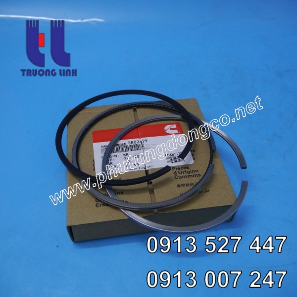 Xéc măng động cơ Cummins 6c8.3 3802429