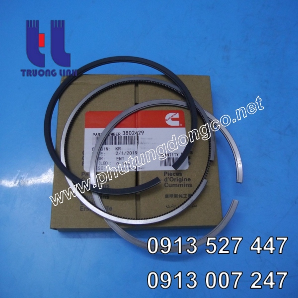 Xéc măng động cơ Cummins 6c8.3 3802429