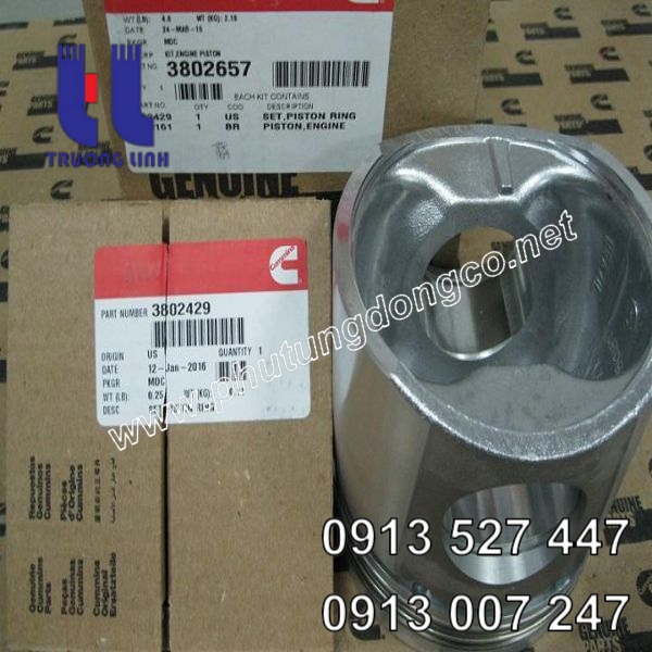 Piston động cơ Cummins 6CT8.3 3802657