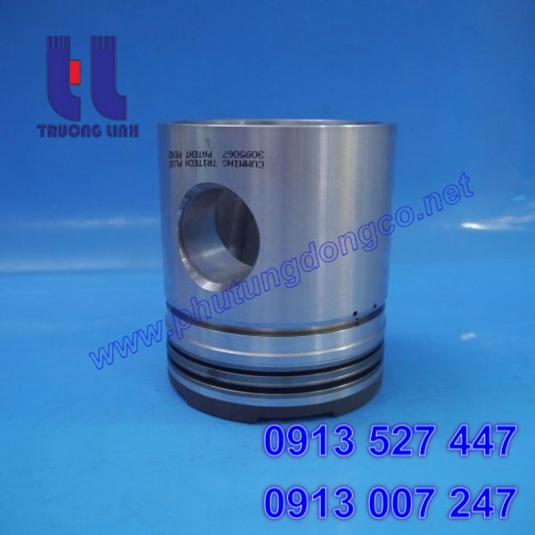 3804422, Piston động cơ Cummins NTA855, NH855 - 139.7mm