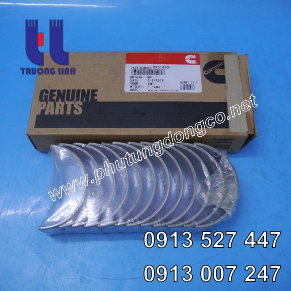 Bạc tay biên động cơ Cummins 6c8.3 - 3901430