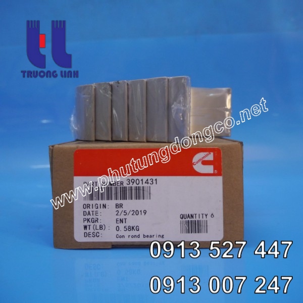 Bạc biên (bạc thanh truyền) động cơ Cummins 6CT8.3