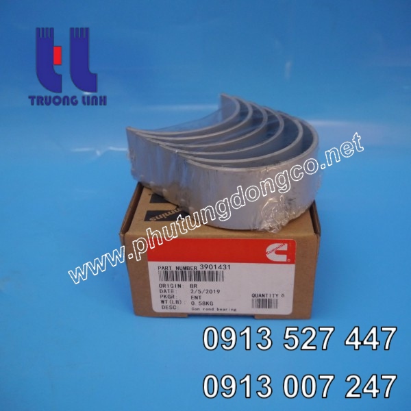 Bạc biên (bạc thanh truyền) động cơ Cummins 6CT8.3