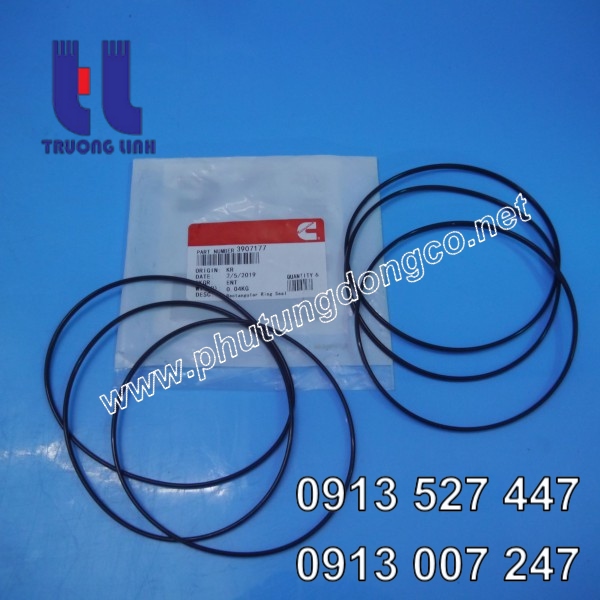 Gioăng xilanh động cơ Cummins 6CT8.3
