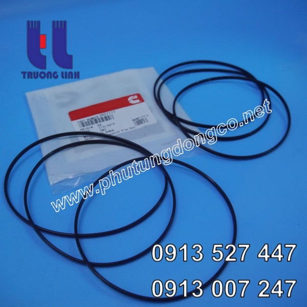 Gioăng xilanh động cơ Cummins 6CT8.3