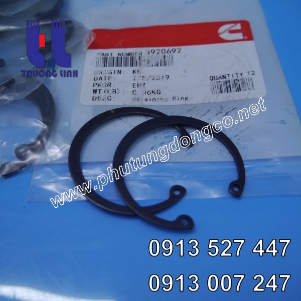 Phe hãm chốt piston động cơ Cummins 6CT8.3