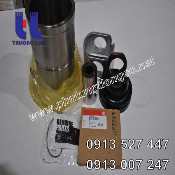 Bộ hơi động cơ Cummins QSM11 4025162
