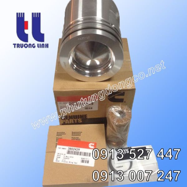 Bộ hơi động cơ Cummins QSC8,3, 6C8.3, 4309095