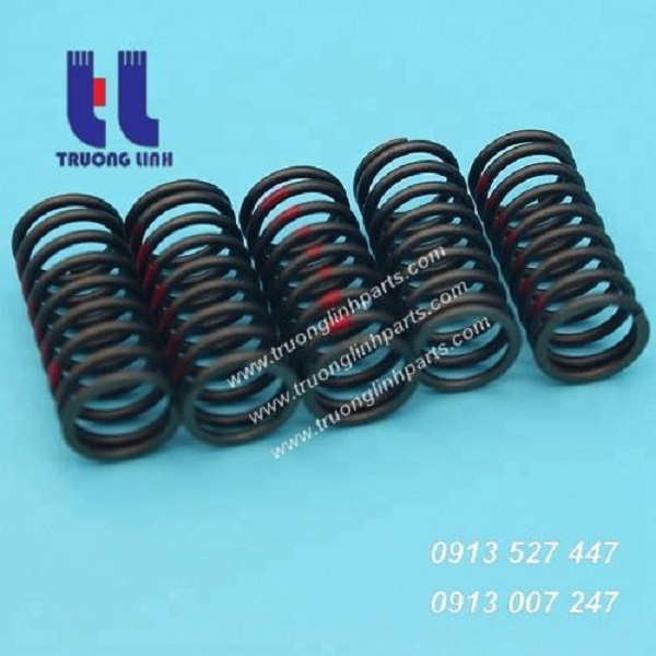 Lò xo xupap động cơ Nissan PE6T44