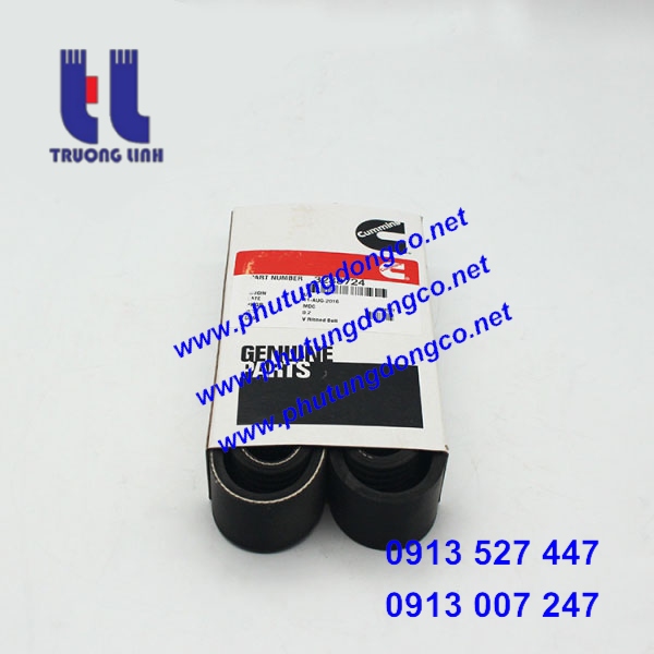 DÂY ĐAI CUMMINS 6BT5.9