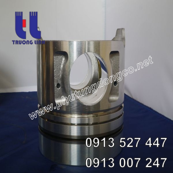 Piston động cơ Nissan PE6T 12011-96508