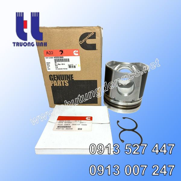 Piston động cơ Cummins, 4025366