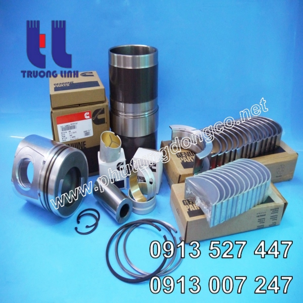 Bộ hơi động cơ Cummins 6c8.3