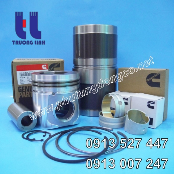Bộ hơi động cơ Cummins 6c8.3