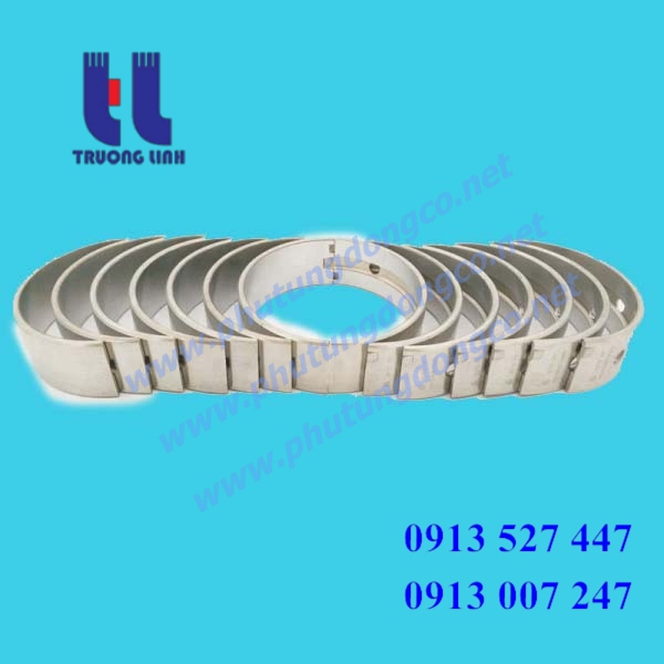 bạc biên động cơ deutz