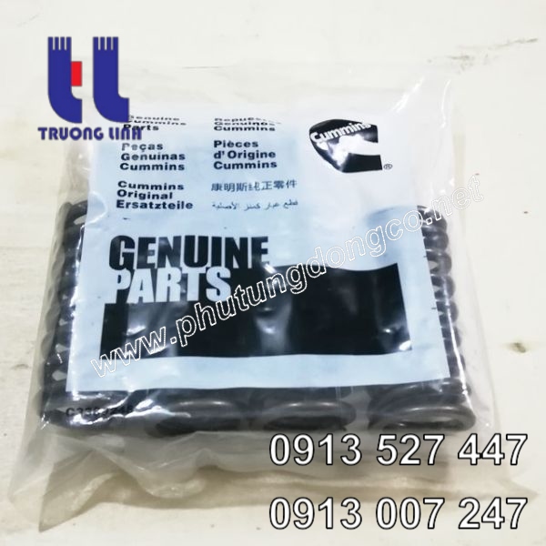 Lò xo xupap động cơ Cummins NTA855 211999
