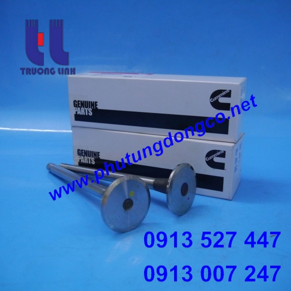 XUPAP NẠP CUMMINS NTA855