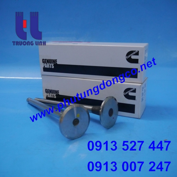 XUPAP NẠP CUMMINS NTA855