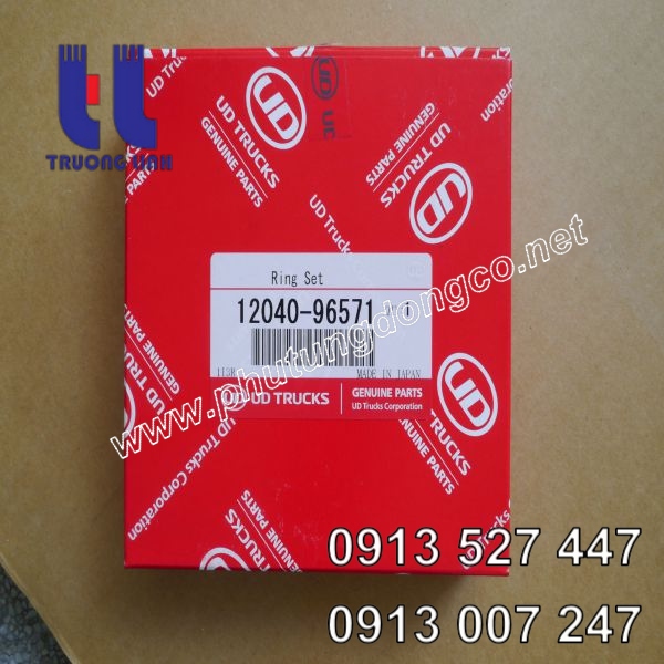 Xéc măng động cơ Nissan PE6T (STD)