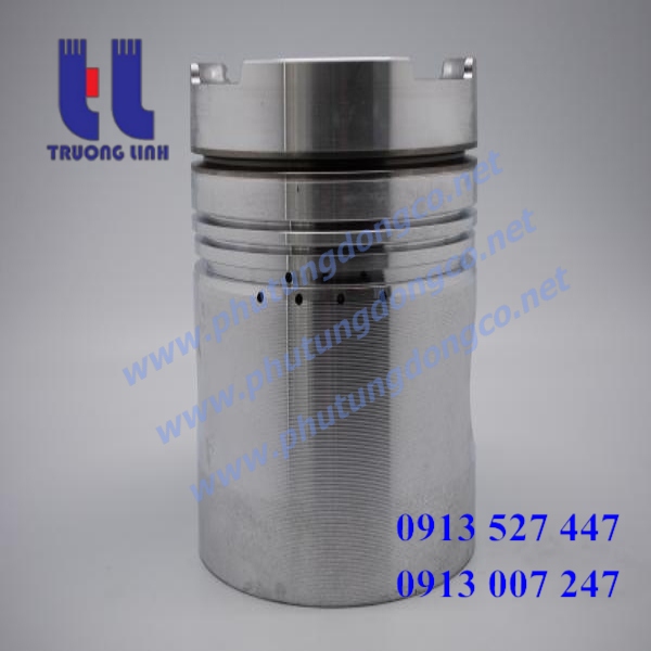 piston engine NT855