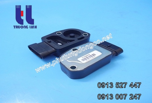 Sự khác nhau giữa bướm ga trên động cơ xăng và diesel - cảm biến bướm ga