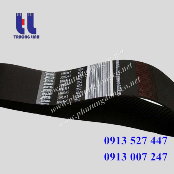 dây đai động cơ cummins
