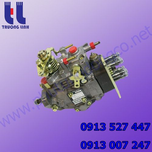 3916922, bơm cao áp động cơ cummins 6b5.9