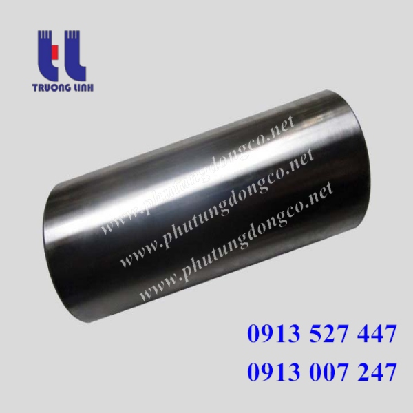 Chốt piston động cơ Cummins