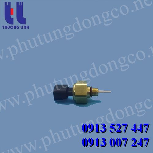 Cảm biến 4921477