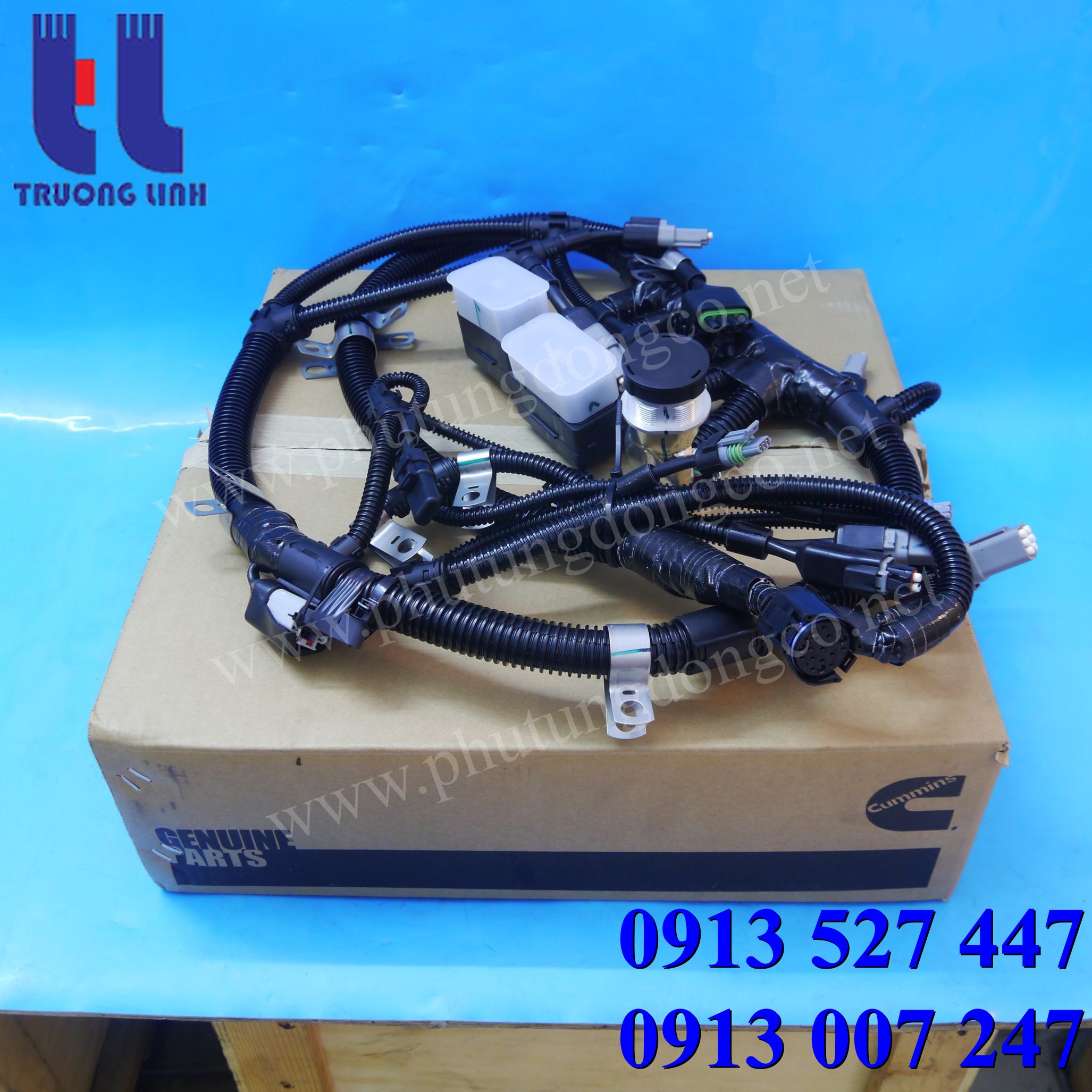 Dây điện 2864488
